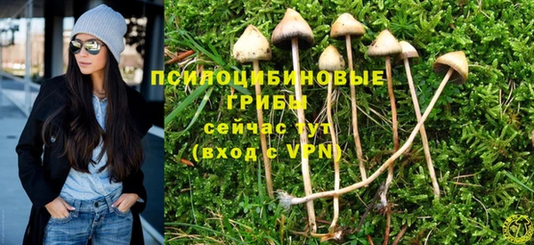 таблы Алексин